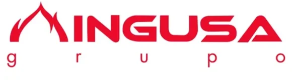 Grupo Ingusa